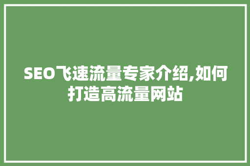 SEO飞速流量专家介绍,如何打造高流量网站