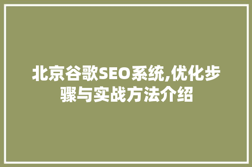北京谷歌SEO系统,优化步骤与实战方法介绍