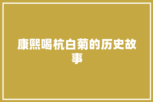 南京短视频SEO排名攻略,介绍短视频平台SEO优化之路