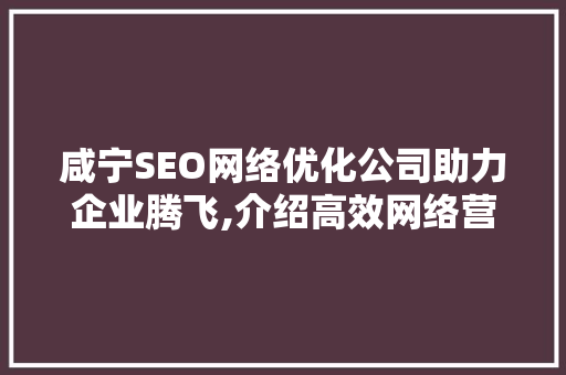 咸宁SEO网络优化公司助力企业腾飞,介绍高效网络营销步骤