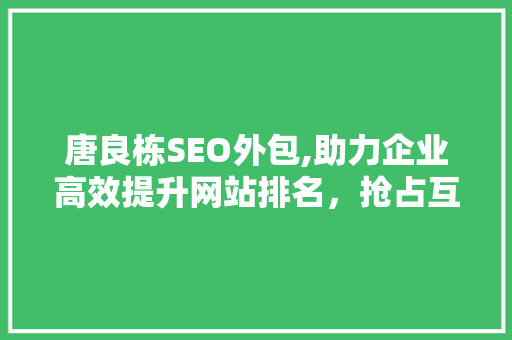 唐良栋SEO外包,助力企业高效提升网站排名，抢占互联网市场先机
