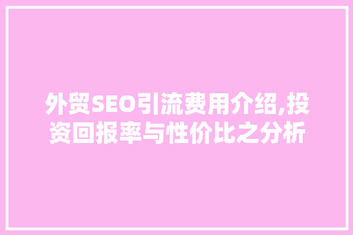 外贸SEO引流费用介绍,投资回报率与性价比之分析