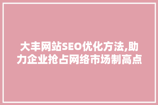 大丰网站SEO优化方法,助力企业抢占网络市场制高点