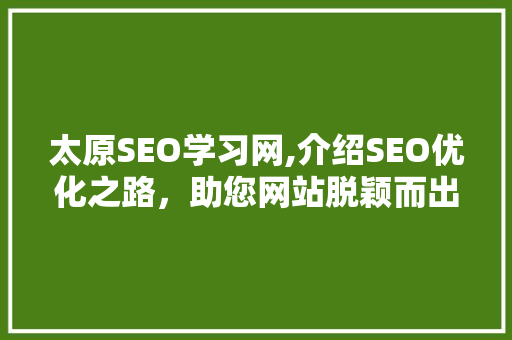 太原SEO学习网,介绍SEO优化之路，助您网站脱颖而出