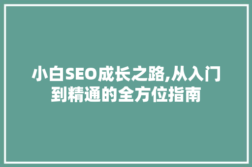 小白SEO成长之路,从入门到精通的全方位指南
