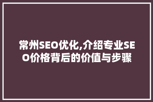 常州SEO优化,介绍专业SEO价格背后的价值与步骤