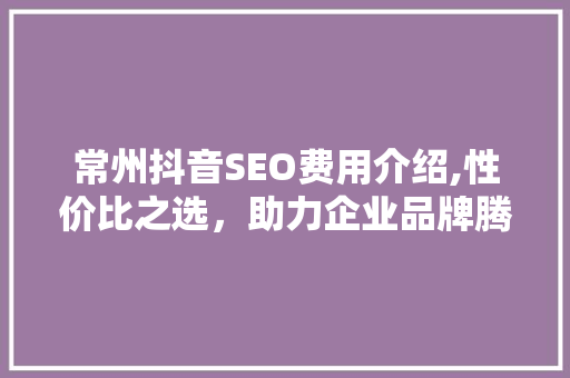 常州抖音SEO费用介绍,性价比之选，助力企业品牌腾飞
