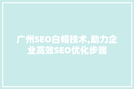广州SEO白帽技术,助力企业高效SEO优化步骤