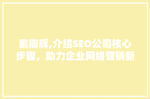 戴卿辉,介绍SEO公司核心步骤，助力企业网络营销新篇章