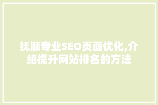 抚顺专业SEO页面优化,介绍提升网站排名的方法