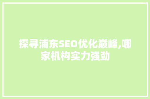 探寻浦东SEO优化巅峰,哪家机构实力强劲