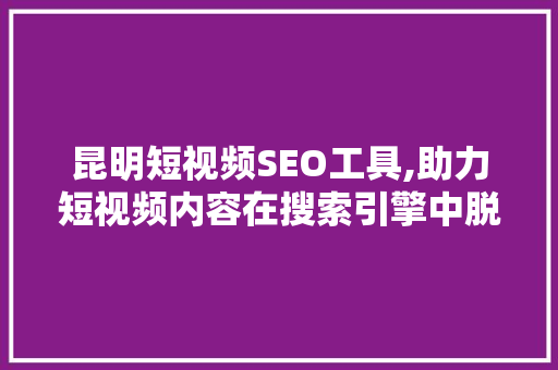 昆明短视频SEO工具,助力短视频内容在搜索引擎中脱颖而出
