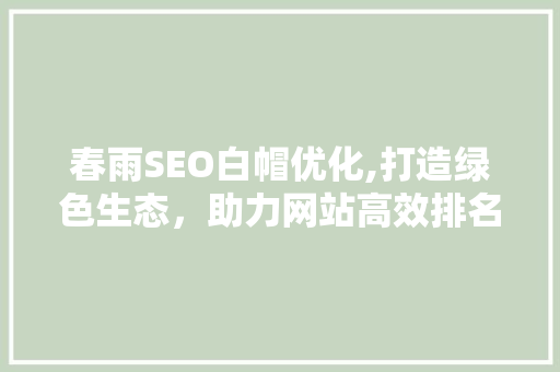 春雨SEO白帽优化,打造绿色生态，助力网站高效排名