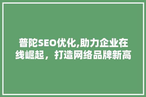 普陀SEO优化,助力企业在线崛起，打造网络品牌新高度