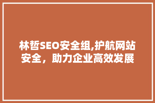 林哲SEO安全组,护航网站安全，助力企业高效发展