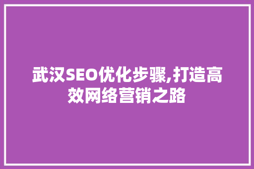 武汉SEO优化步骤,打造高效网络营销之路