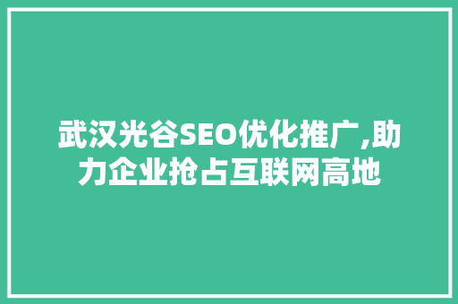 武汉光谷SEO优化推广,助力企业抢占互联网高地
