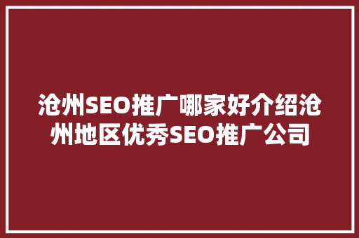 沧州SEO推广哪家好介绍沧州地区优秀SEO推广公司