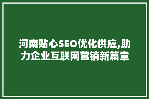 河南贴心SEO优化供应,助力企业互联网营销新篇章
