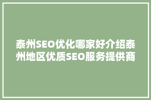 泰州SEO优化哪家好介绍泰州地区优质SEO服务提供商