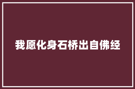 海淀百度SEO优化,助力企业提升在线竞争力  第1张