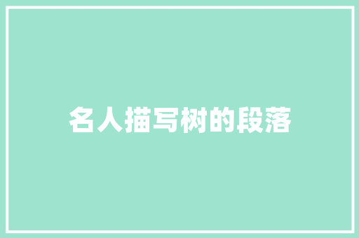 淄博SEO服务公司助力企业互联网营销新突破