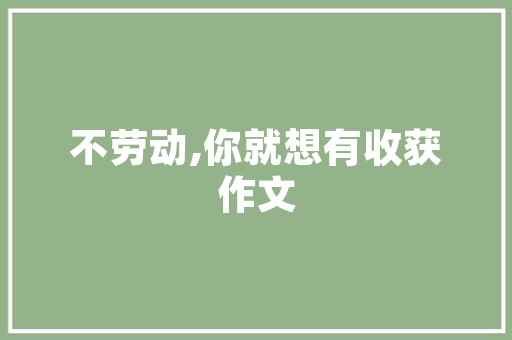 淘宝SEO,助力商家在电商浪潮中乘风破浪的关键步骤
