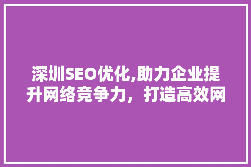 深圳SEO优化,助力企业提升网络竞争力，打造高效网络营销步骤