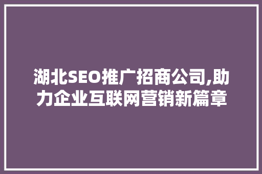 湖北SEO推广招商公司,助力企业互联网营销新篇章