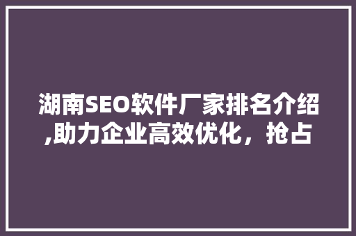 湖南SEO软件厂家排名介绍,助力企业高效优化，抢占市场先机