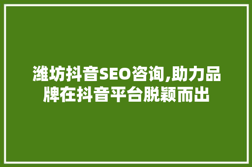 潍坊抖音SEO咨询,助力品牌在抖音平台脱颖而出