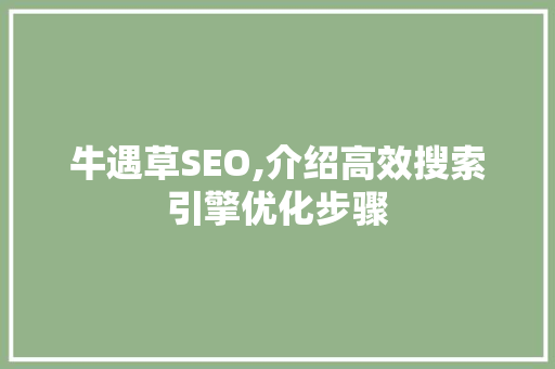 牛遇草SEO,介绍高效搜索引擎优化步骤  第1张