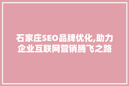 石家庄SEO品牌优化,助力企业互联网营销腾飞之路