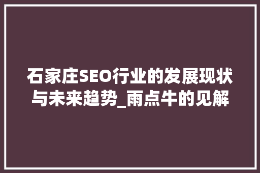 石家庄SEO行业的发展现状与未来趋势_雨点牛的见解