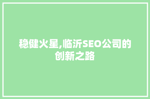 稳健火星,临沂SEO公司的创新之路  第1张