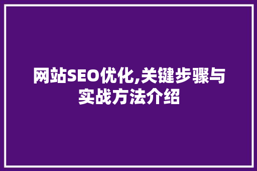 网站SEO优化,关键步骤与实战方法介绍