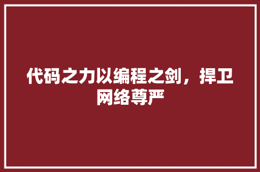 代码之力以编程之剑，捍卫网络尊严