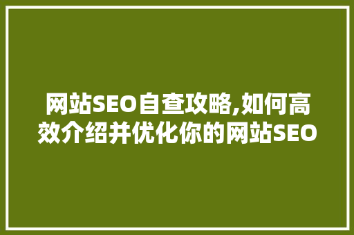 网站SEO自查攻略,如何高效介绍并优化你的网站SEO