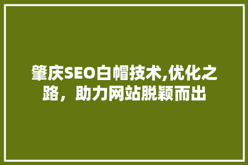 肇庆SEO白帽技术,优化之路，助力网站脱颖而出