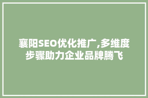 襄阳SEO优化推广,多维度步骤助力企业品牌腾飞