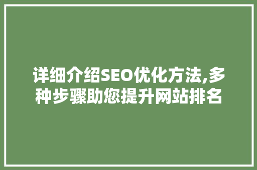 详细介绍SEO优化方法,多种步骤助您提升网站排名