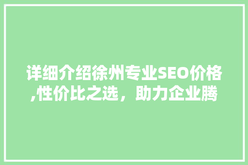 详细介绍徐州专业SEO价格,性价比之选，助力企业腾飞