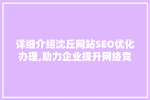 详细介绍沈丘网站SEO优化办理,助力企业提升网络竞争力  第1张