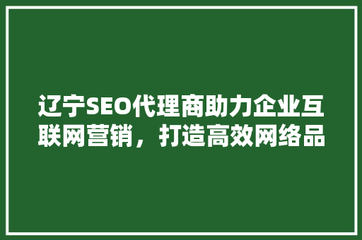 辽宁SEO代理商助力企业互联网营销，打造高效网络品牌形象