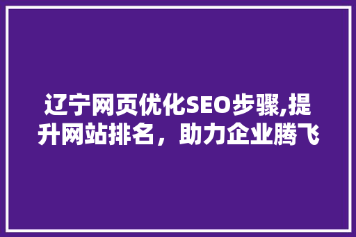 辽宁网页优化SEO步骤,提升网站排名，助力企业腾飞