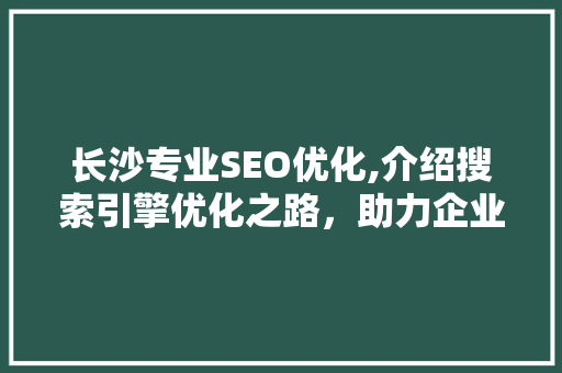 长沙专业SEO优化,介绍搜索引擎优化之路，助力企业腾飞