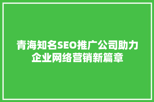青海知名SEO推广公司助力企业网络营销新篇章