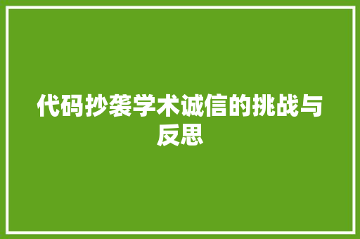 代码抄袭学术诚信的挑战与反思  第1张