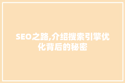 SEO之路,介绍搜索引擎优化背后的秘密