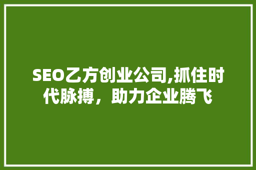 SEO乙方创业公司,抓住时代脉搏，助力企业腾飞
